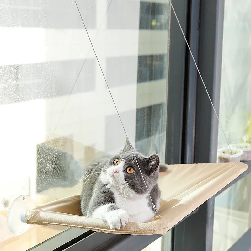 Space-Saving Hanging Cat Bed
