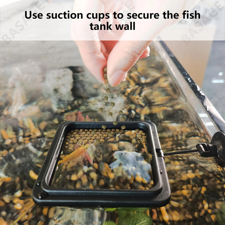 Square fish tank food tray