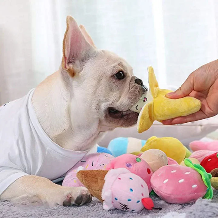 Squeaky Bone Toy for Aggressive Chewers
