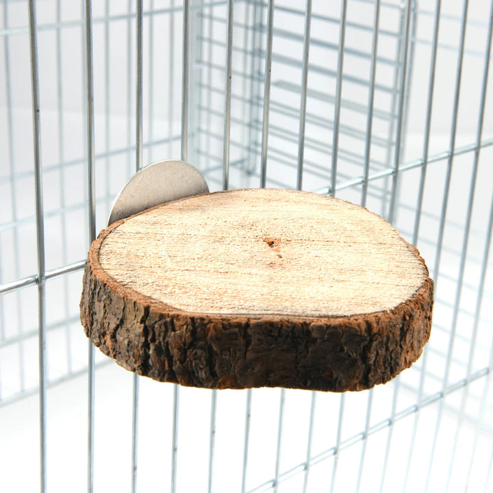 Squirrel Wooden Bird Perch Stand