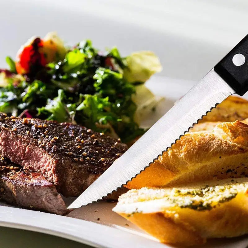 Stainless steel steak knives set