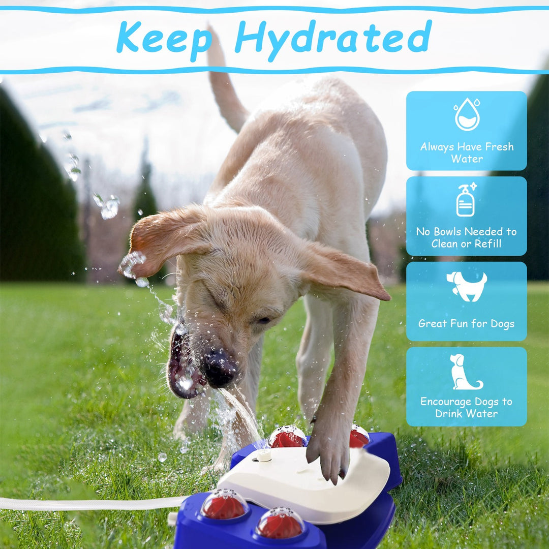 Step-on pet water dispenser outdoor