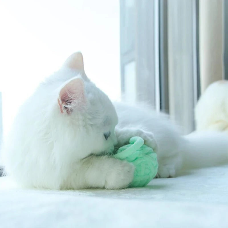 Stuffed Toy Ball for Cats
