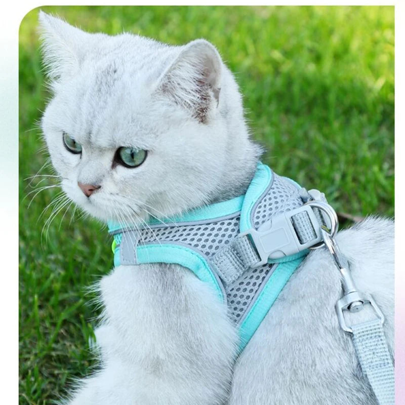 Stylish Cat Harness