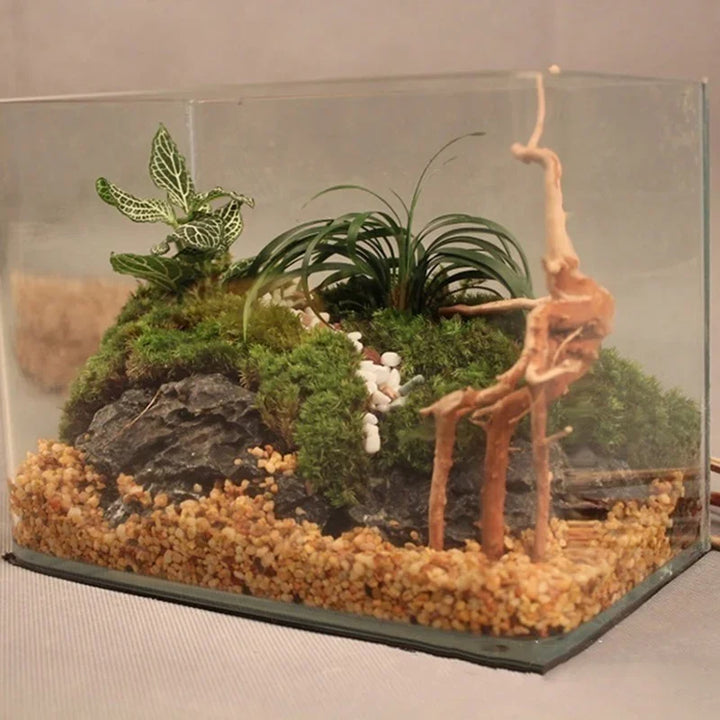 Stylish aquarium wood decor