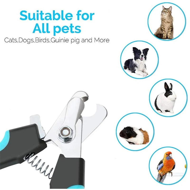 Suitable For All Pets 