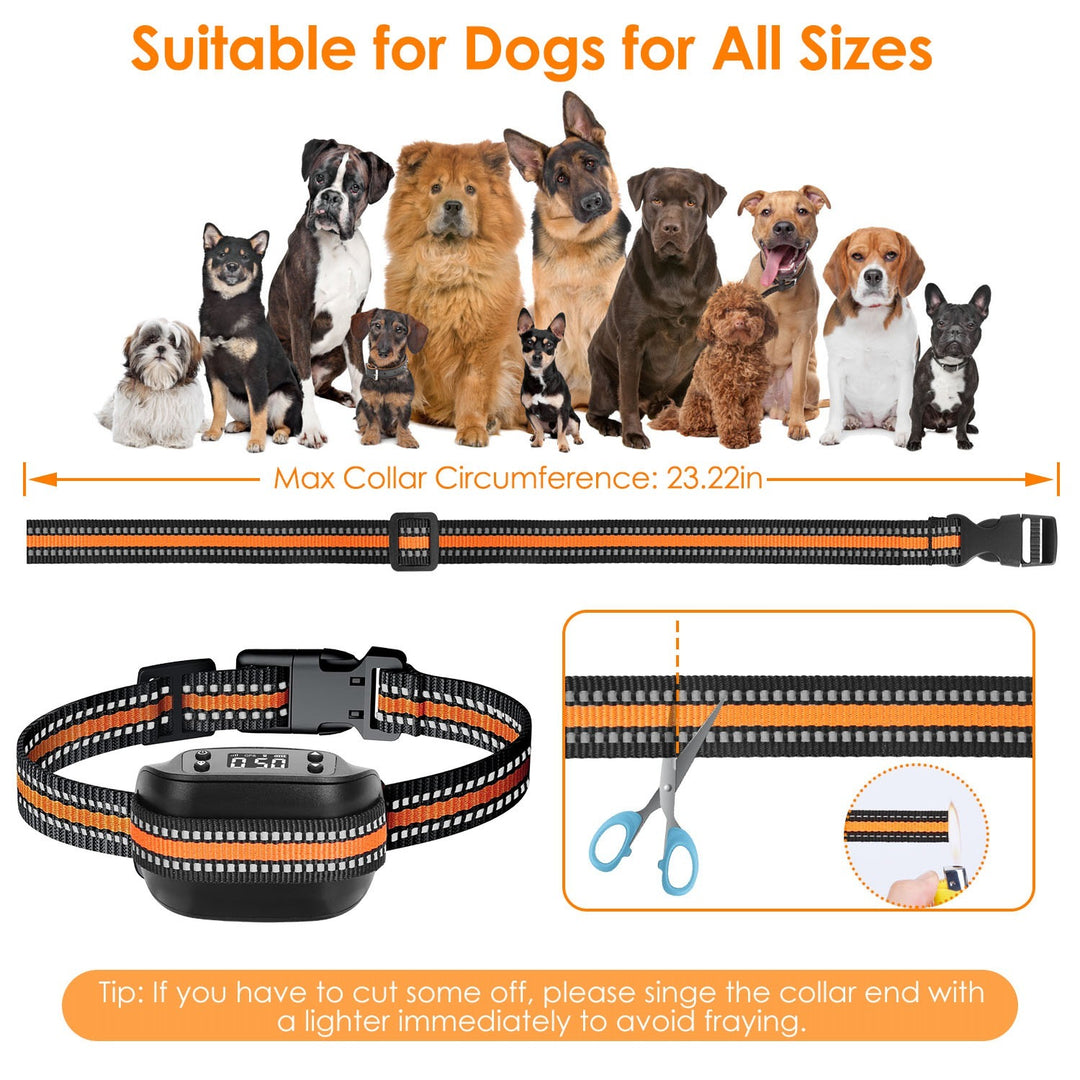 Suitable for Dogs for all Sizes 