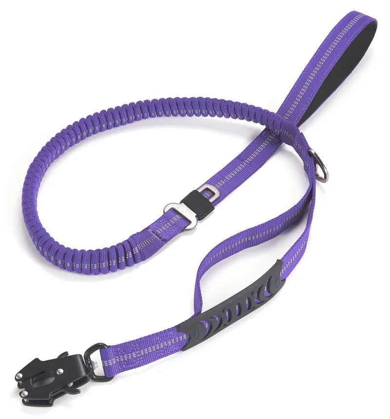 Tactical bungee leash with car clip