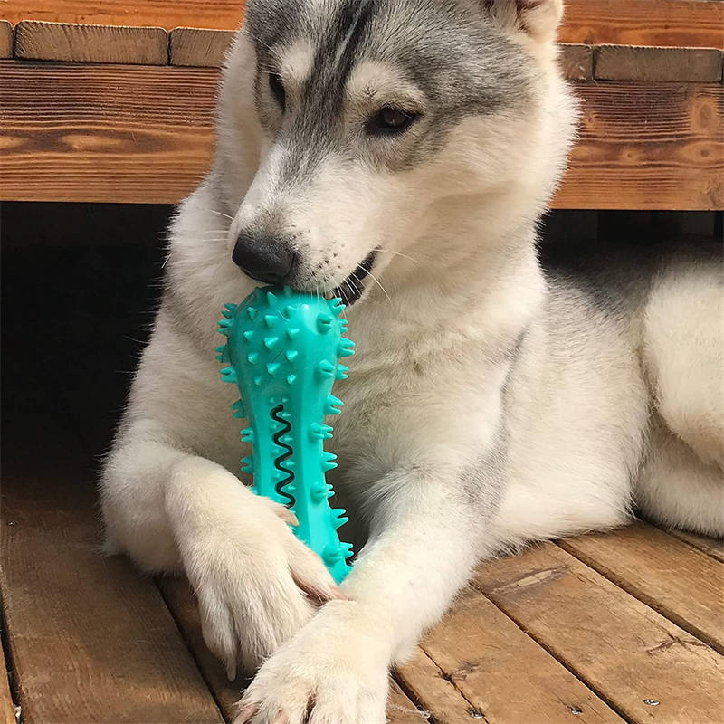 Teeth cleaning toy for aggressive dogs