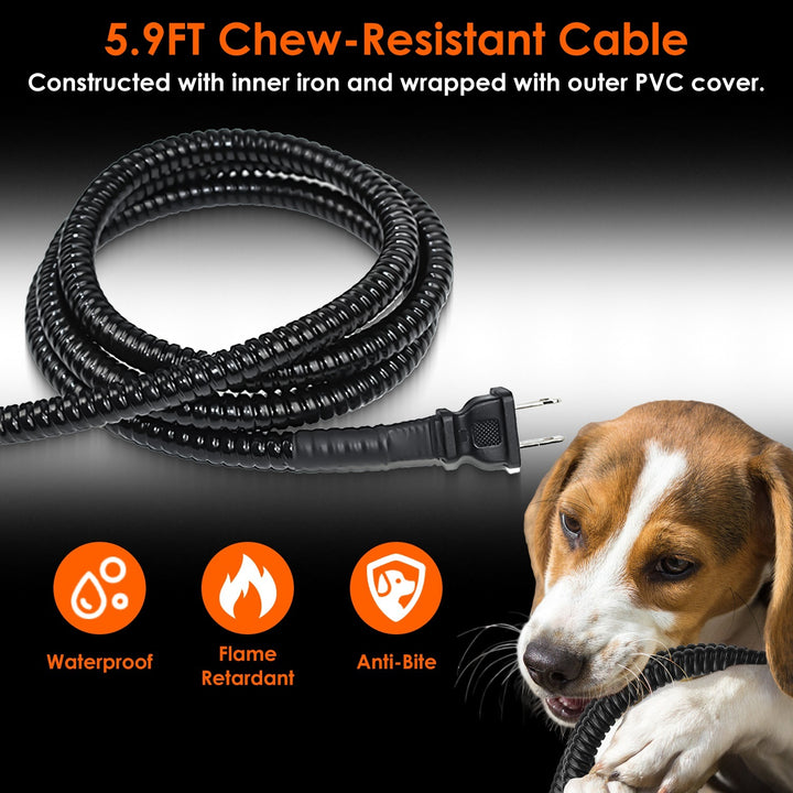 Thermal water feeder for dogs