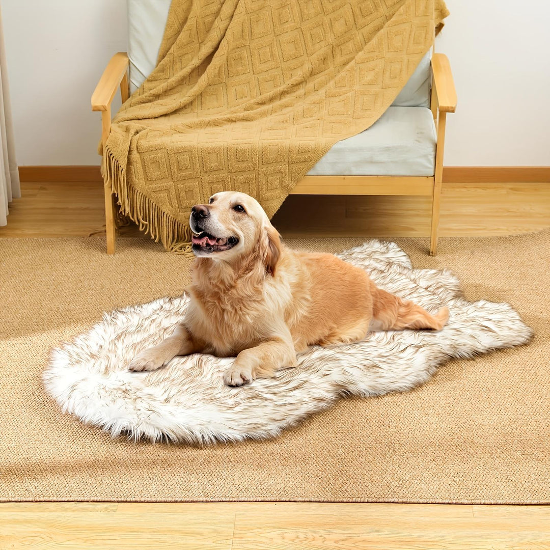 Thick cushioned dog bed for comfort