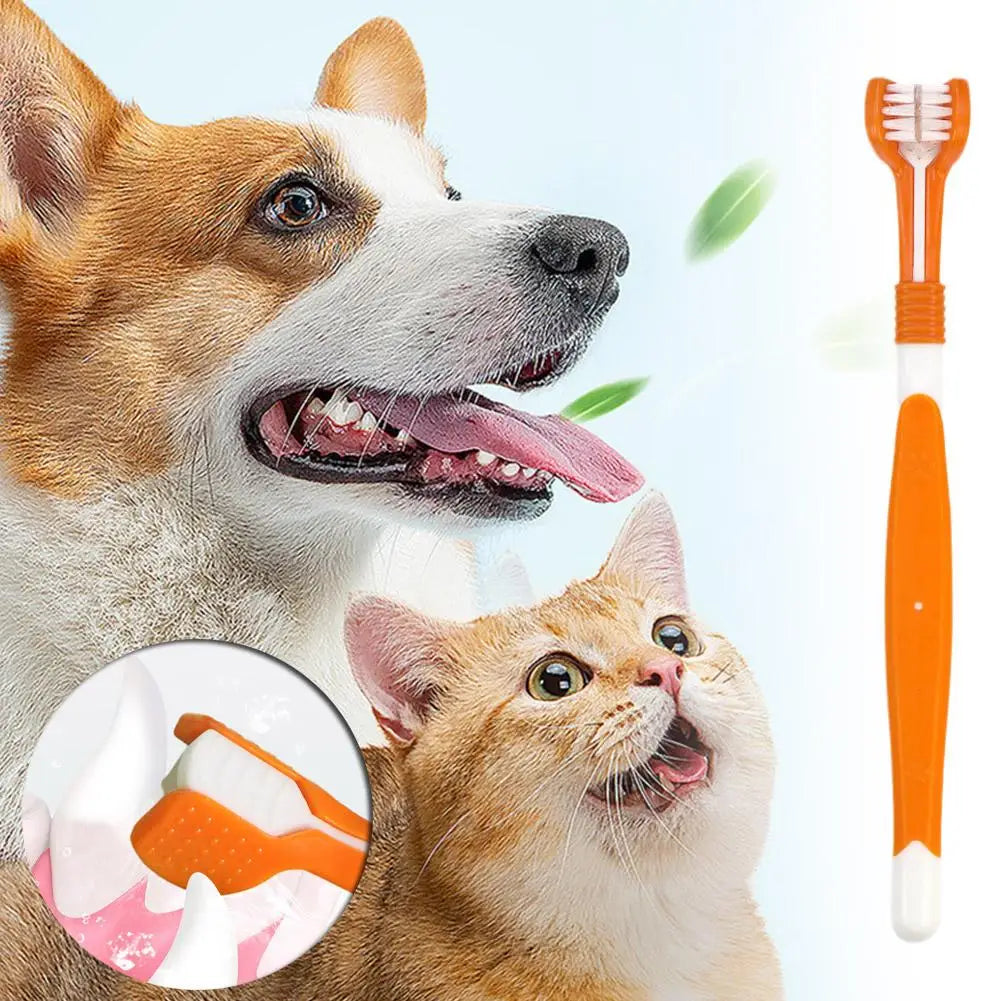 Three-Headed Toothbrush for Pet Teeth
