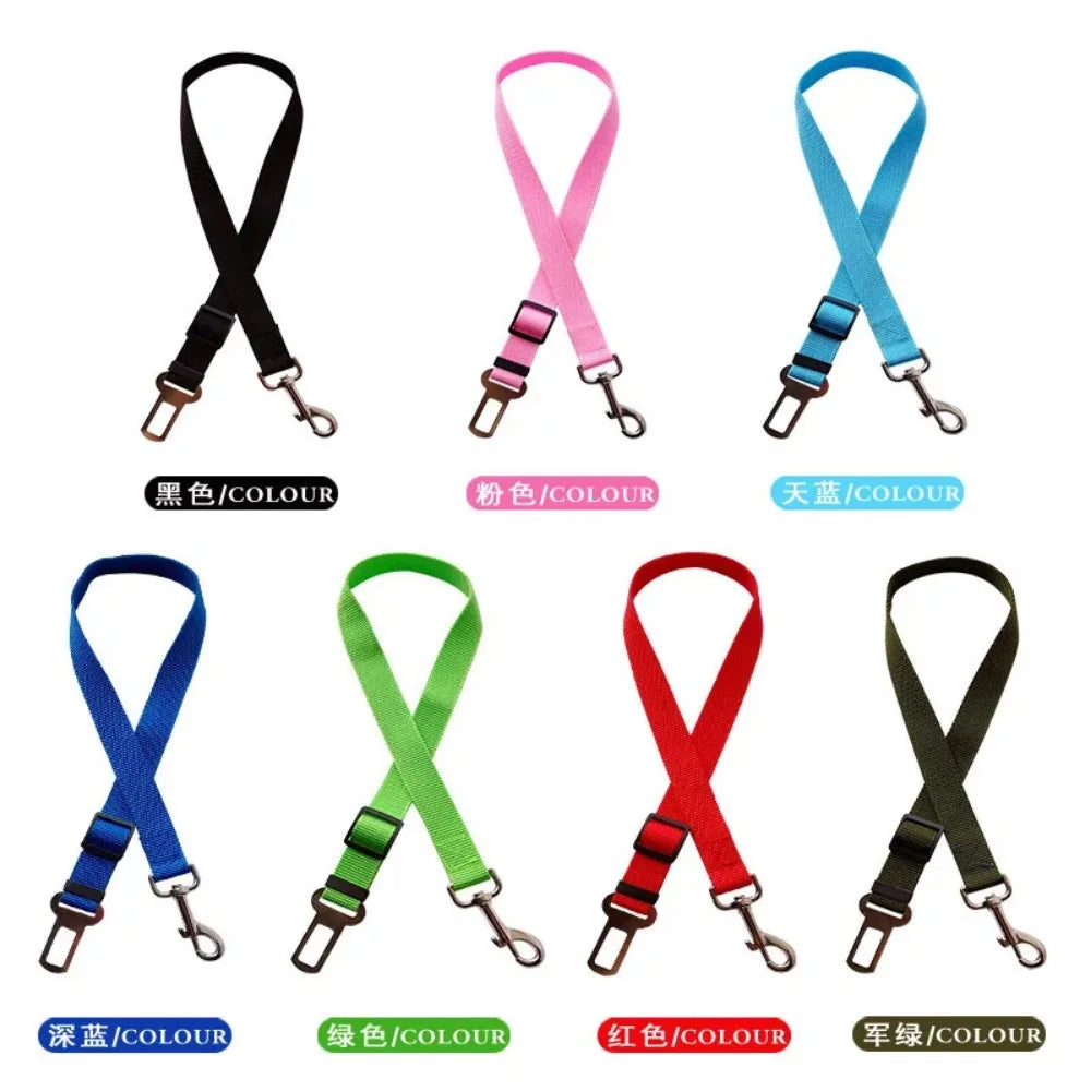 Traction dog collars with seat belt