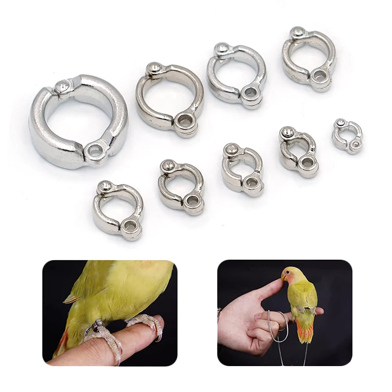 Training Foot Ring for Parrots