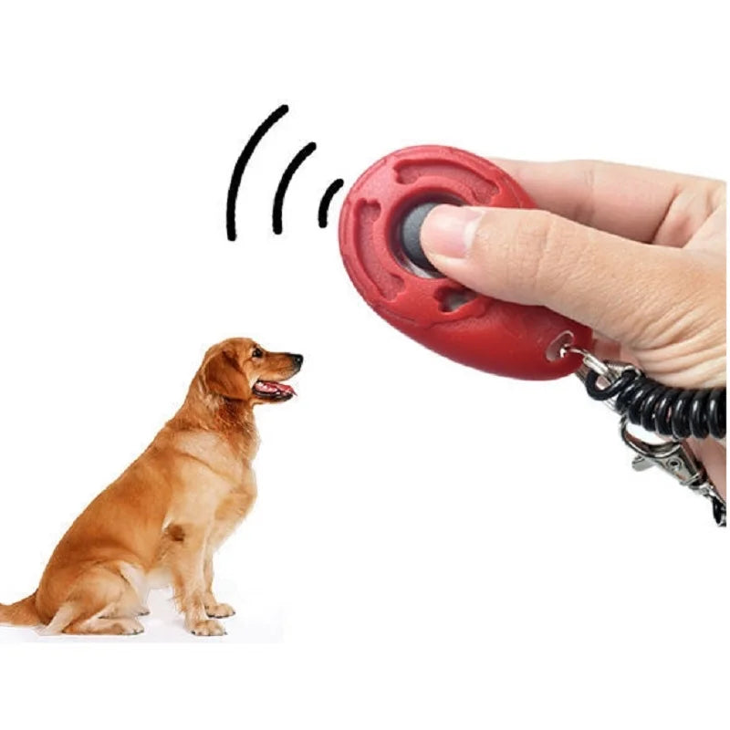 Training clicker with sound key