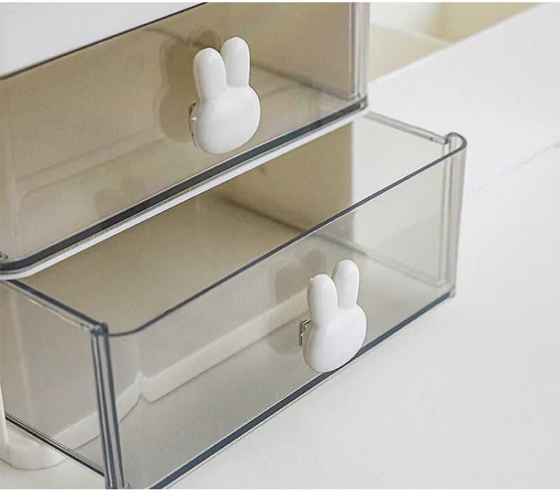 Transparent Organizer for Office Desk Supplies