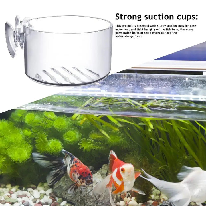 Transparent aquarium plant pot