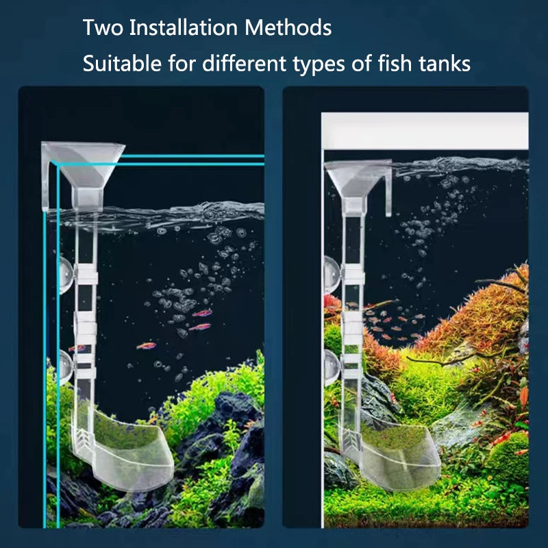 Transparent feeding setup for aquariums.