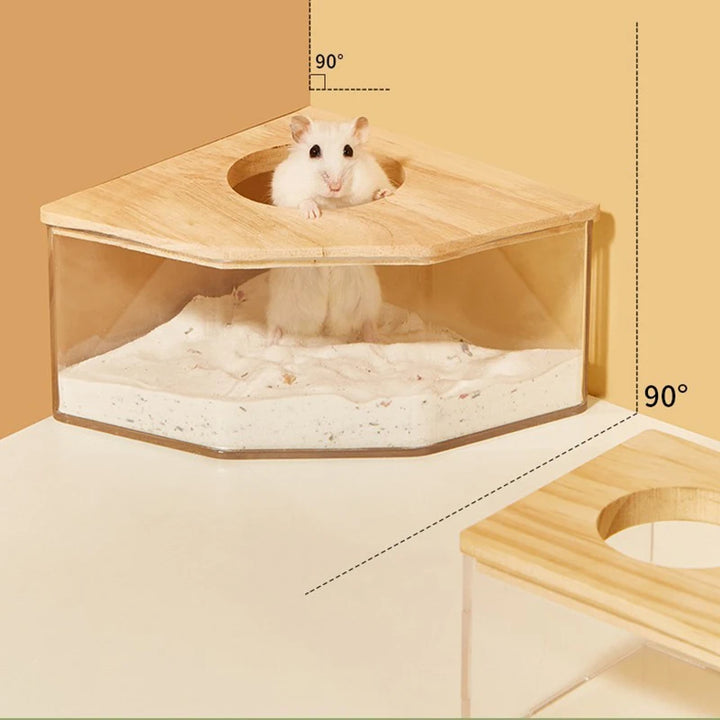 Transparent hamster bathroom container with sand