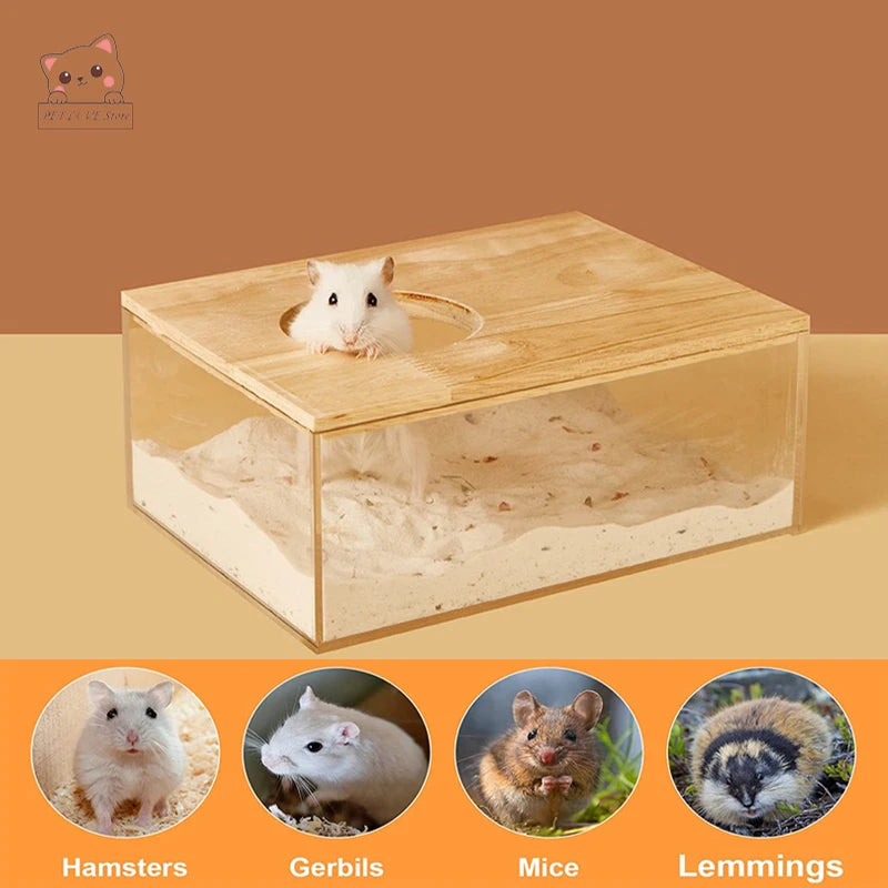 Transparent hamster bathroom sand bath setup