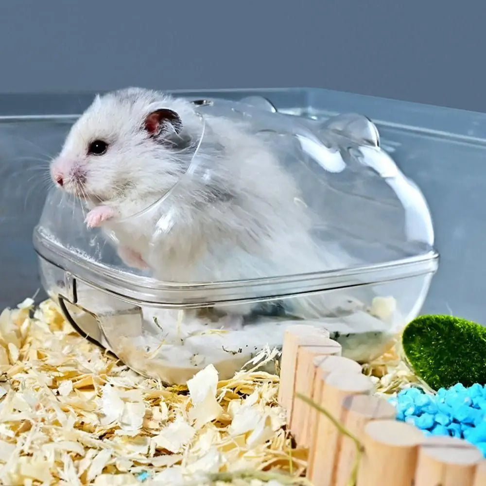 Transparent hamster cage with sand