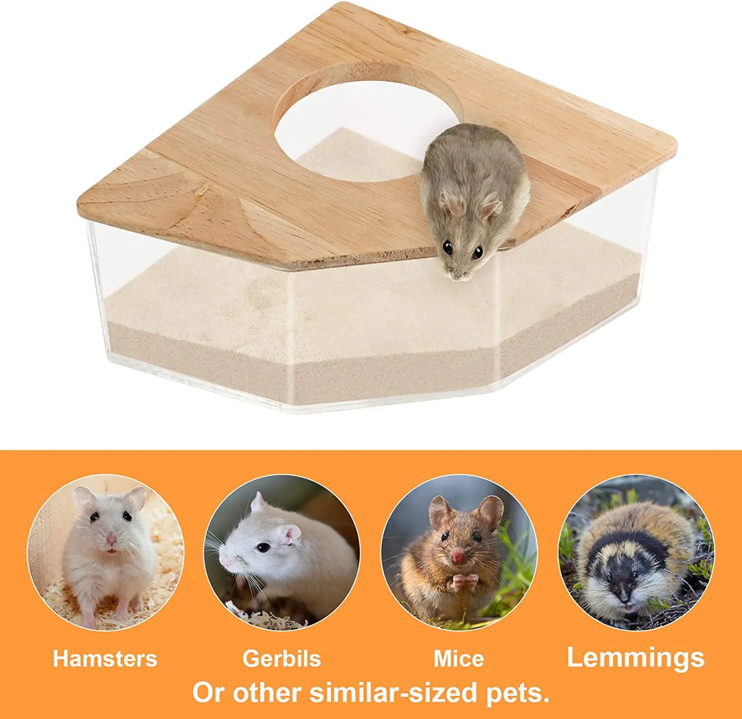 Transparent hamster sandbox with sand bath