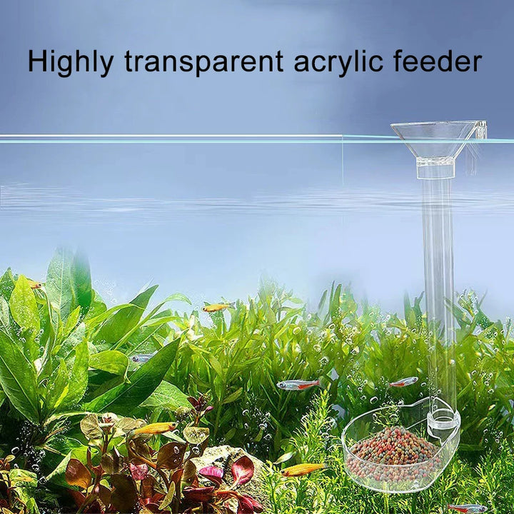 Transparent tube fish feeder for aquariums