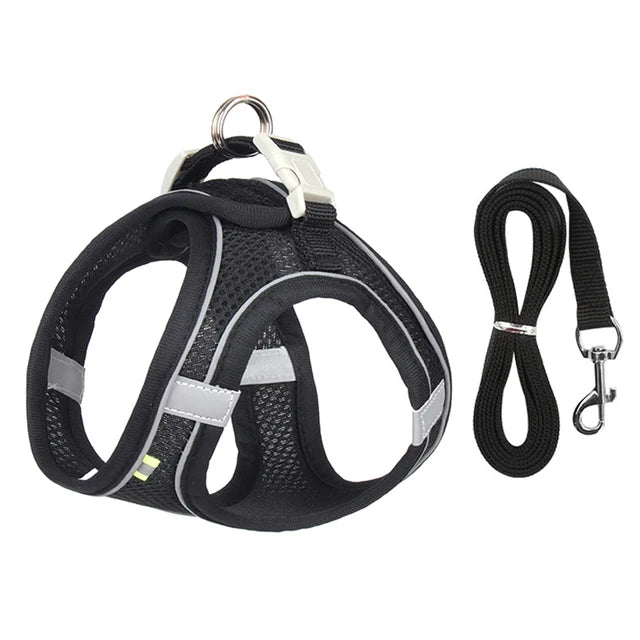 Travel-Friendly Pet Harness