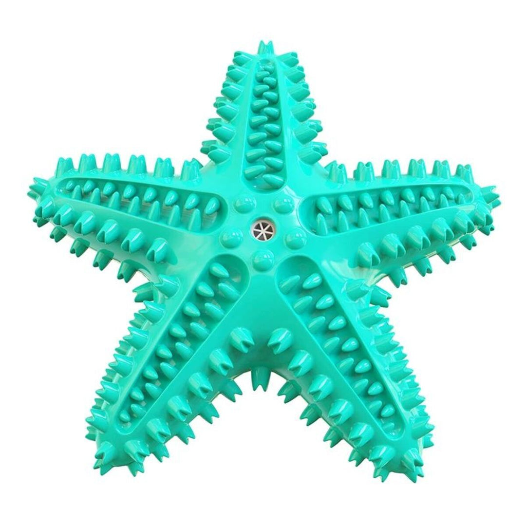 Turquoise star shaped rubber toy