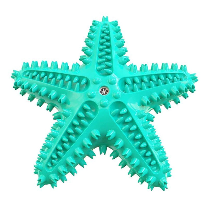 Turquoise star shaped rubber toy