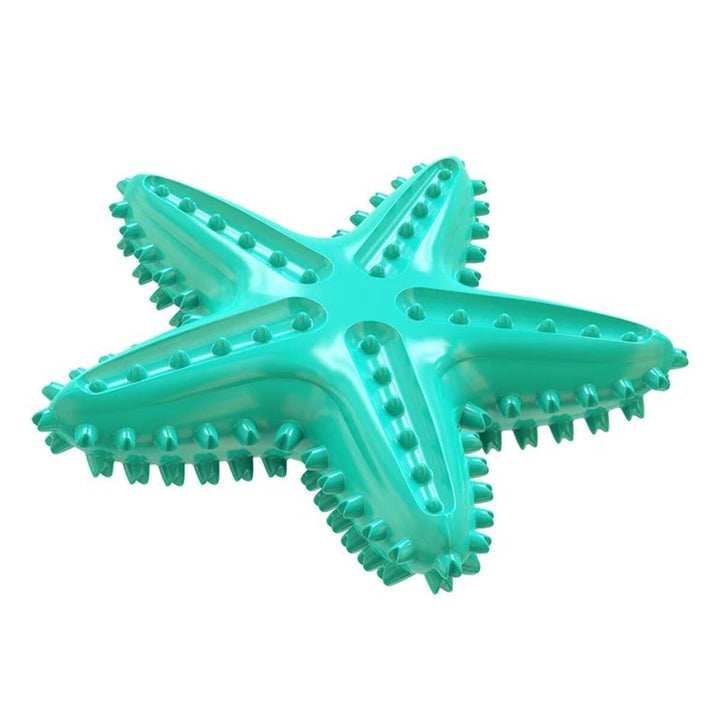 Turquoise star shaped toy