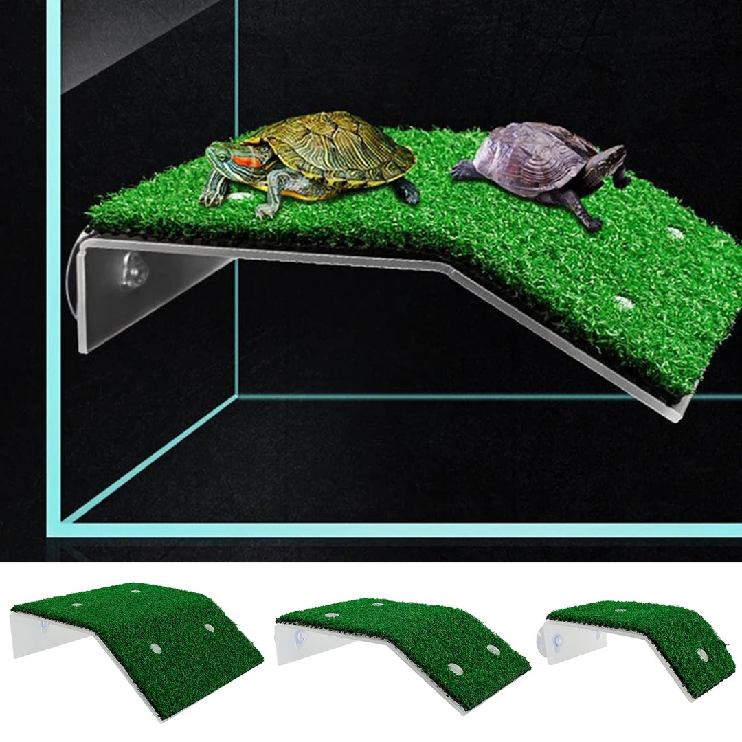 Turtle Climbing Platform 