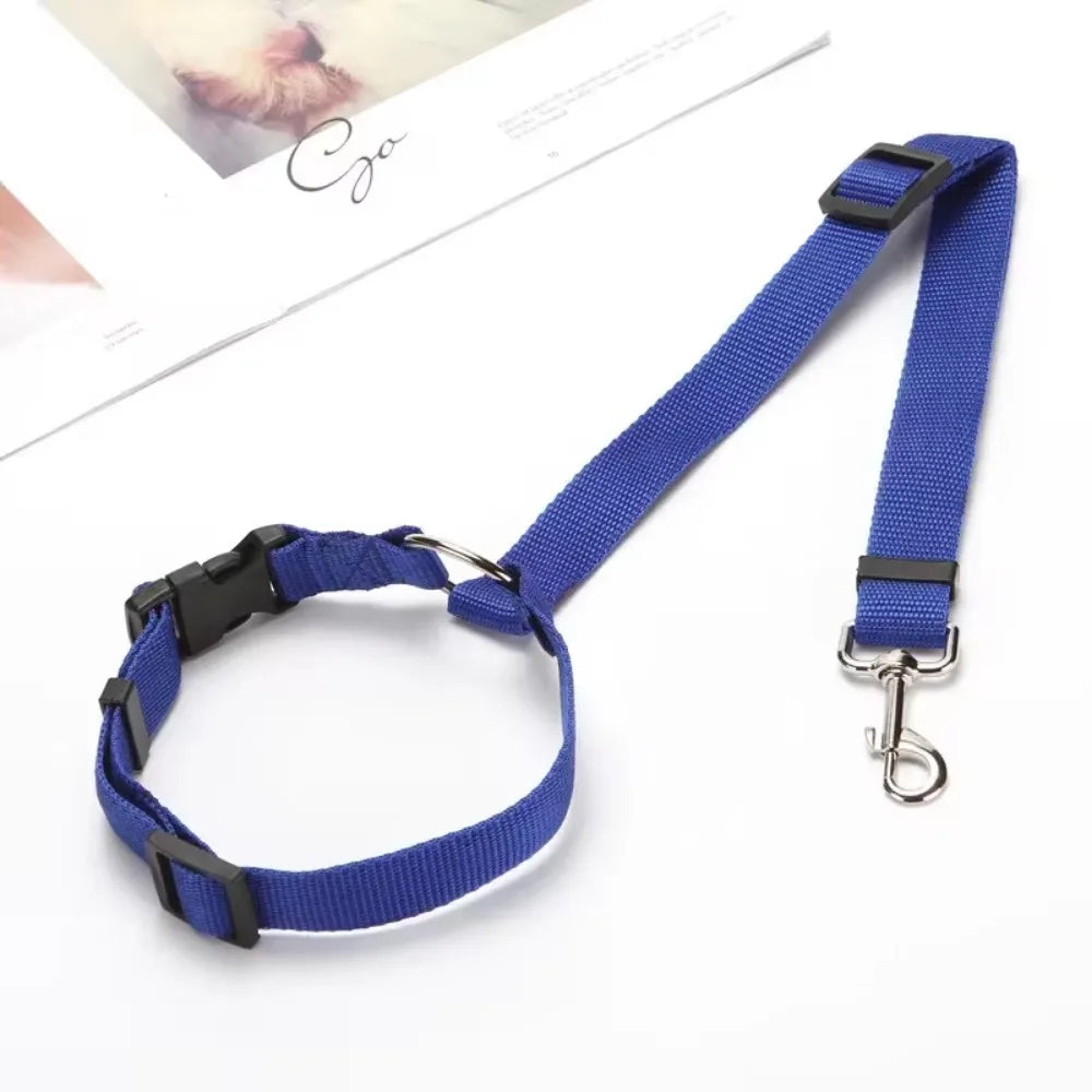 Two-in-One Dog Harness Leash