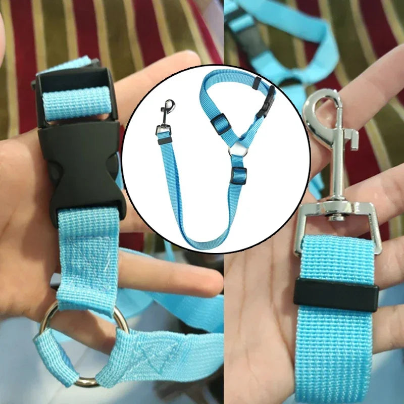 Two-in-One Dog Safety Belt