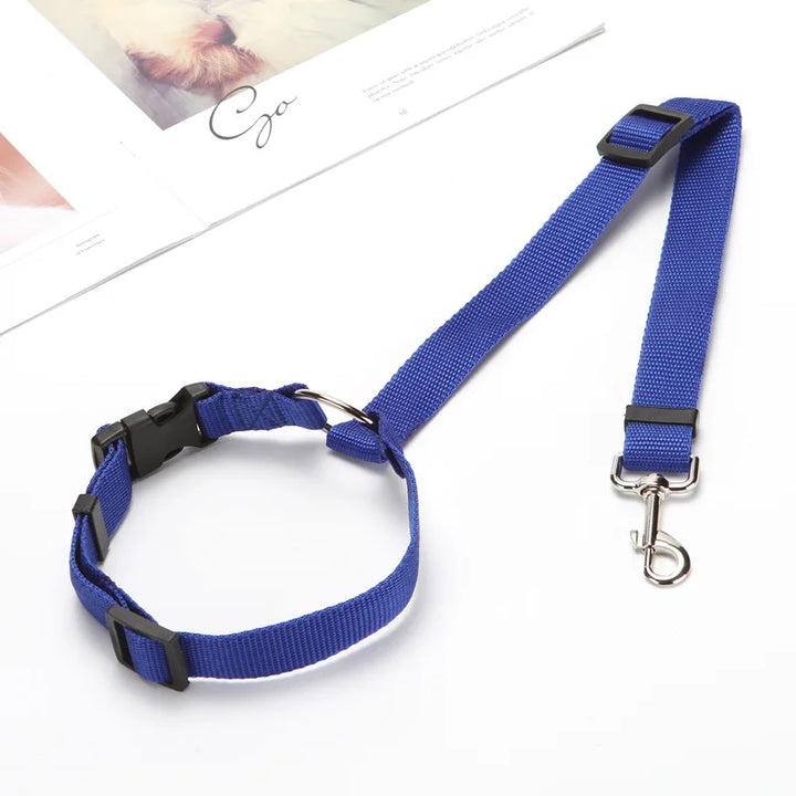 Two-in-One Pet Collar Leash