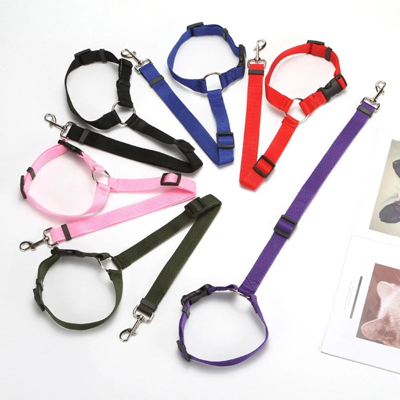 Two-in-One Pet Travel Accessory