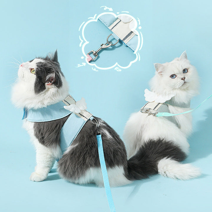 Two cats wearing harnesses and leashes