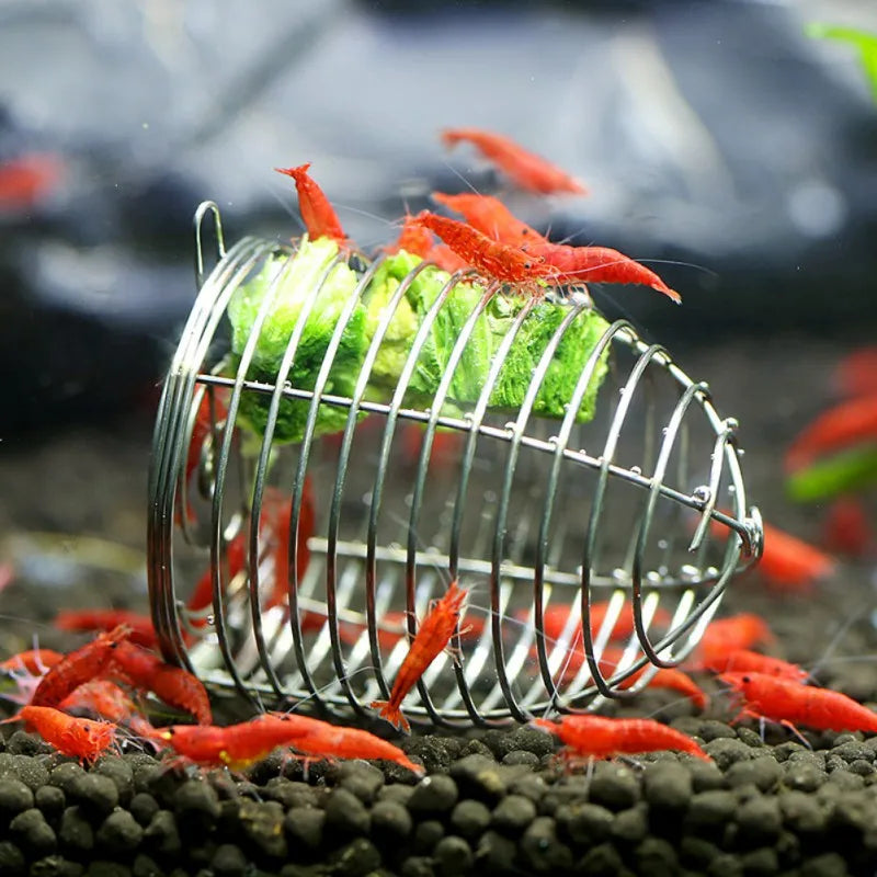 UBBT Durable Aquarium Feeder