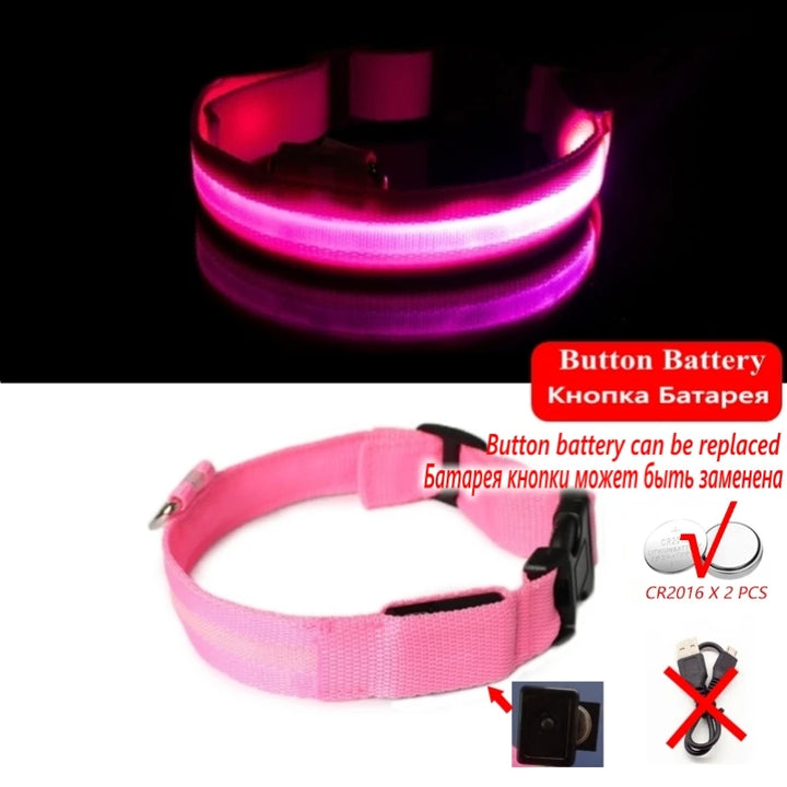 USB Battery LED Collar for Puppies