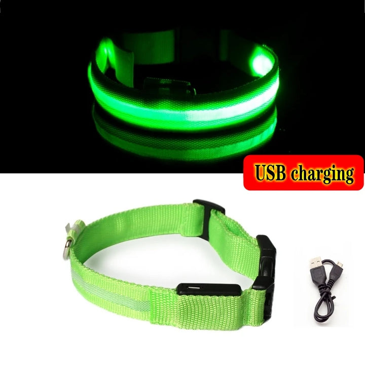 USB Light Dog Collar for Puppies