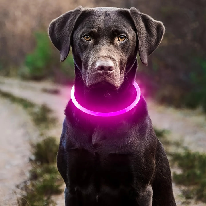 USB Rechargeable Dog Necklace with LED