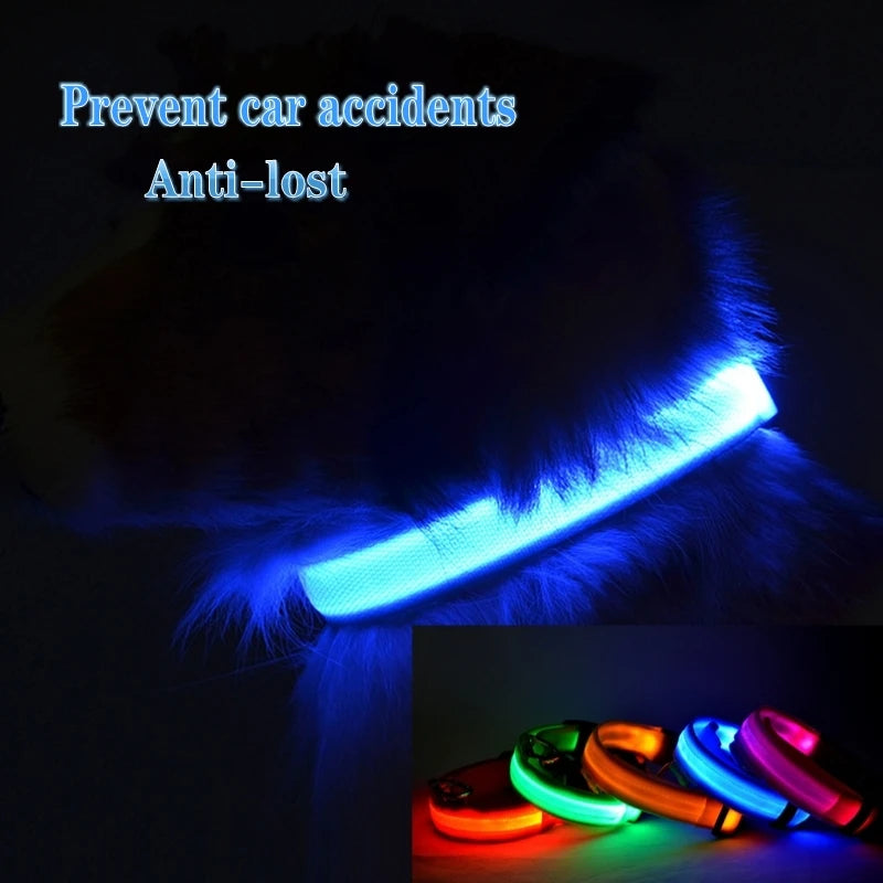 USB Rechargeable Night Safety Dog Collar