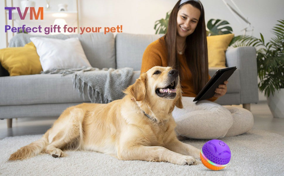 USB Rechargeable Rolling Dog Ball