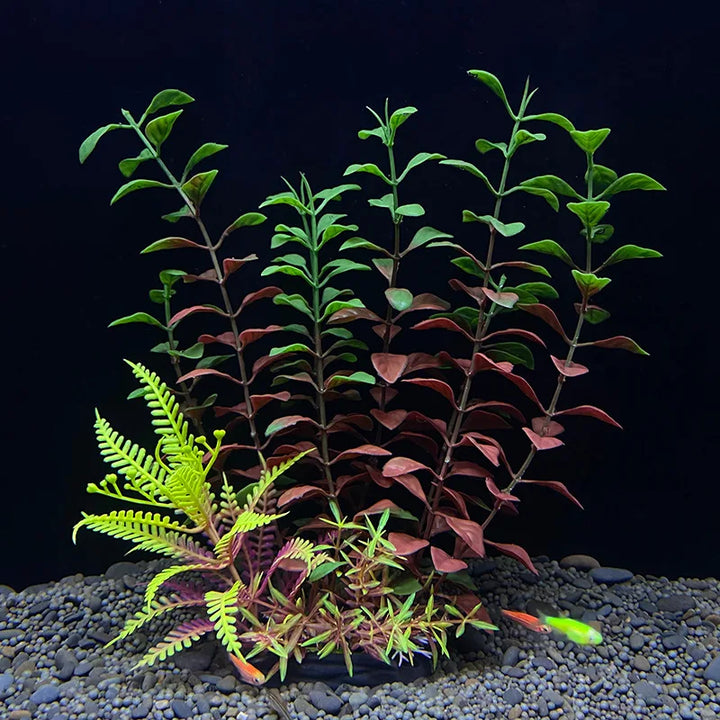 Underwater Plants for Aquarium