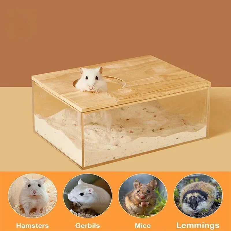 Urine sand basin for pet hamster