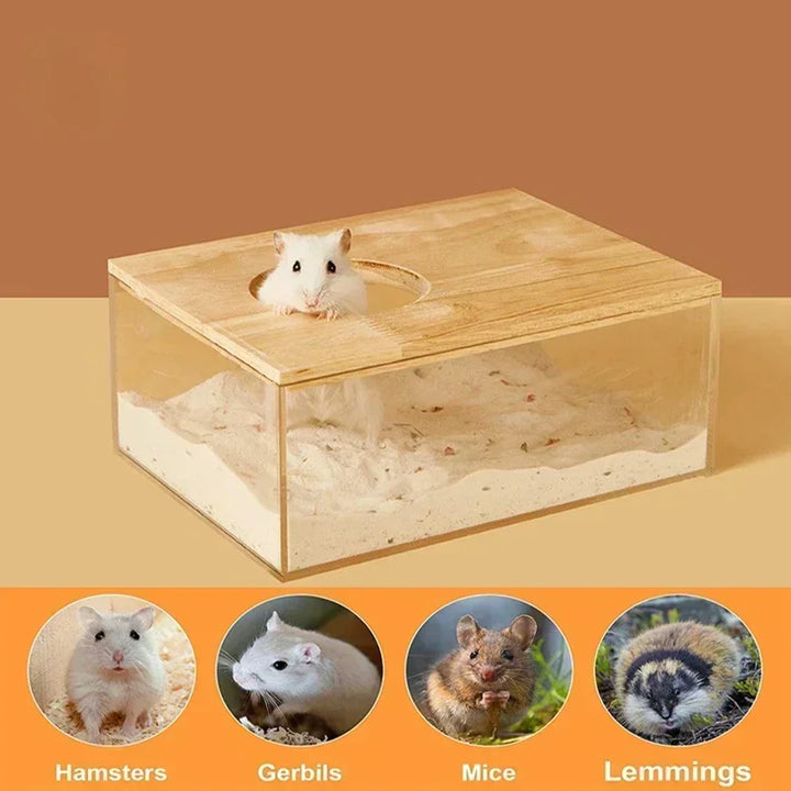 Urine sand basin for pet hamster