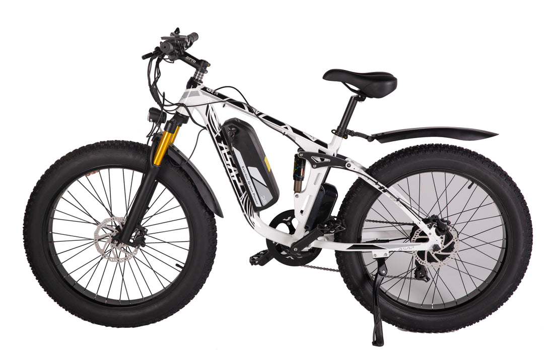 Adult Electric Bike (750W/45KM Range/ 42KMPH Top Speed) White - Worries