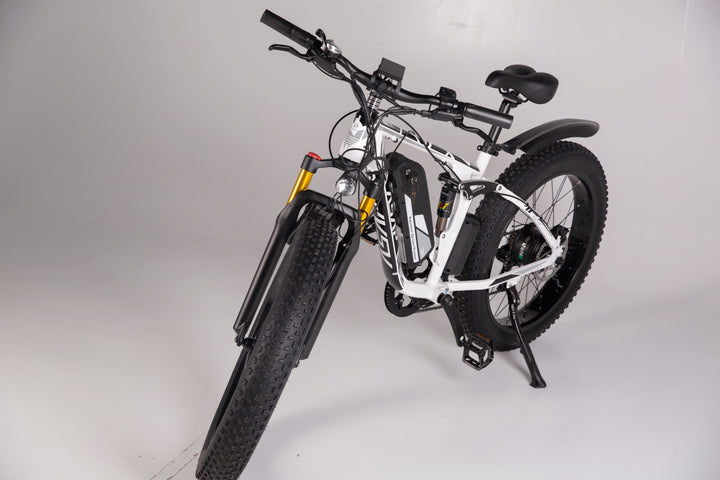 Adult Electric Bike (750W/45KM Range/ 42KMPH Top Speed) White - Worries