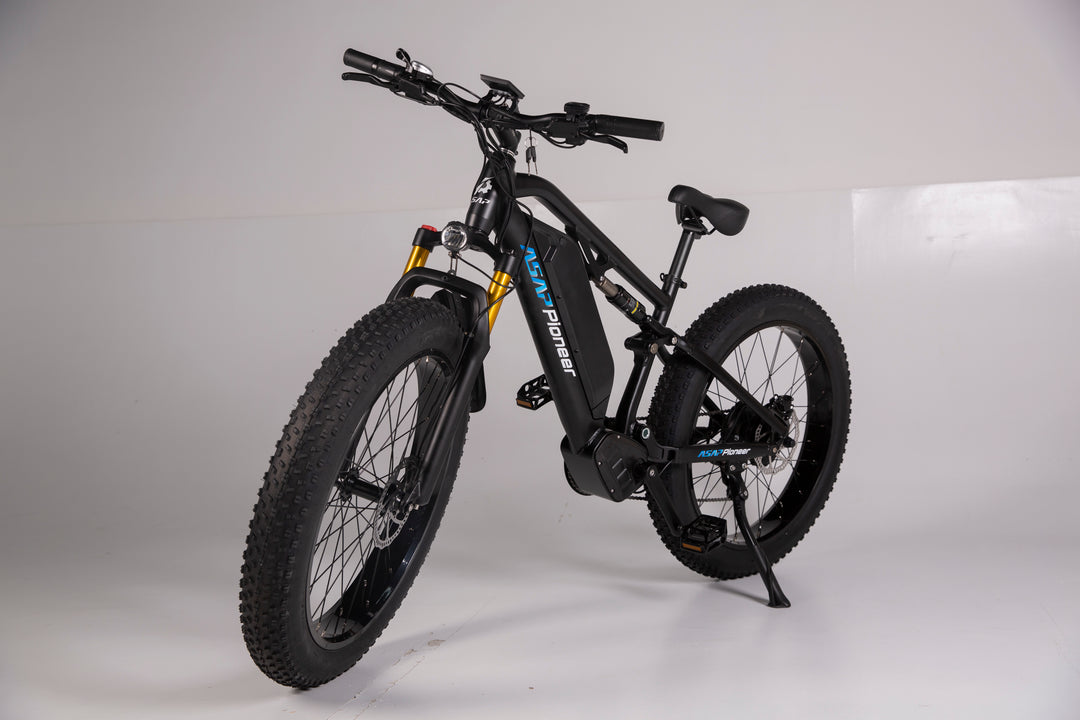 Adult Electric Bike (750W/ 45KM Range/ 42KMPH Top Speed) Black - Pioneer