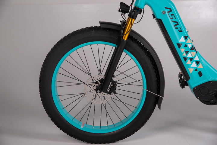 Adult Electric Bike (750W/45KM Range/ 42KMPH Top Speed) Sky Blue - Varna